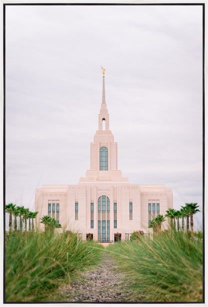 Red Cliffs Utah Palm Trees