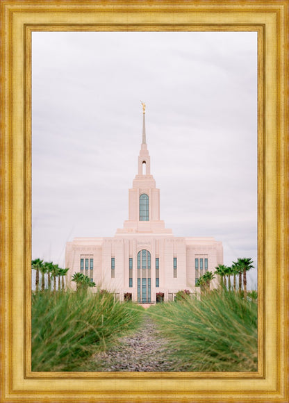 Red Cliffs Utah Palm Trees