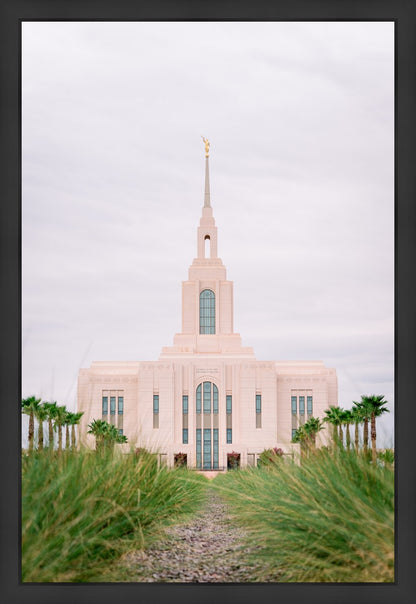 Red Cliffs Utah Palm Trees
