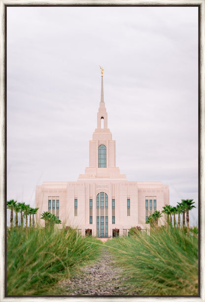 Red Cliffs Utah Palm Trees