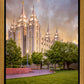 Salt Lake City Utah Eternal Glow