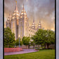 Salt Lake City Utah Eternal Glow