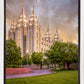 Salt Lake City Utah Eternal Glow