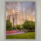 Salt Lake City Utah Eternal Glow