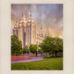 Salt Lake City Utah Eternal Glow