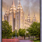 Salt Lake City Utah Eternal Glow