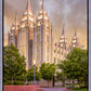 Salt Lake City Utah Eternal Glow