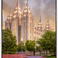 Salt Lake City Utah Eternal Glow