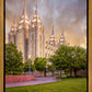 Salt Lake City Utah Eternal Glow
