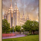 Salt Lake City Utah Eternal Glow
