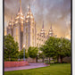 Salt Lake City Utah Eternal Glow