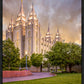 Salt Lake City Utah Eternal Glow