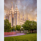 Salt Lake City Utah Eternal Glow