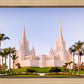 San Diego California Glow
