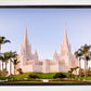 San Diego California Glow