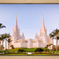 San Diego California Glow