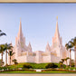 San Diego California Glow