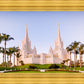 San Diego California Glow