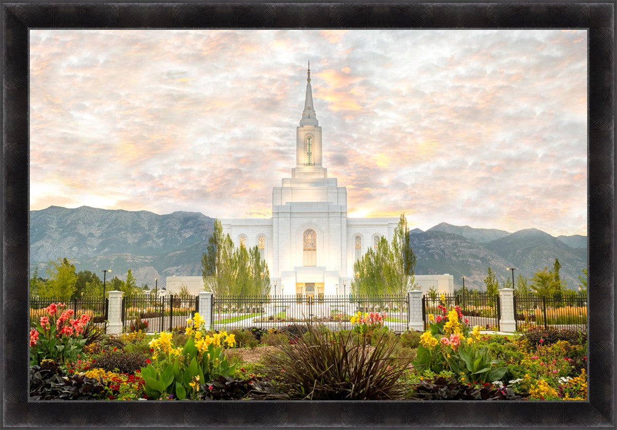 Orem Utah Sunrise Flowers