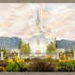 Orem Utah Sunrise Flowers