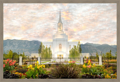 Orem Utah Sunrise Flowers