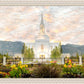 Orem Utah Sunrise Flowers