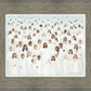 Body of Christ