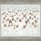 Body of Christ