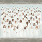 Body of Christ