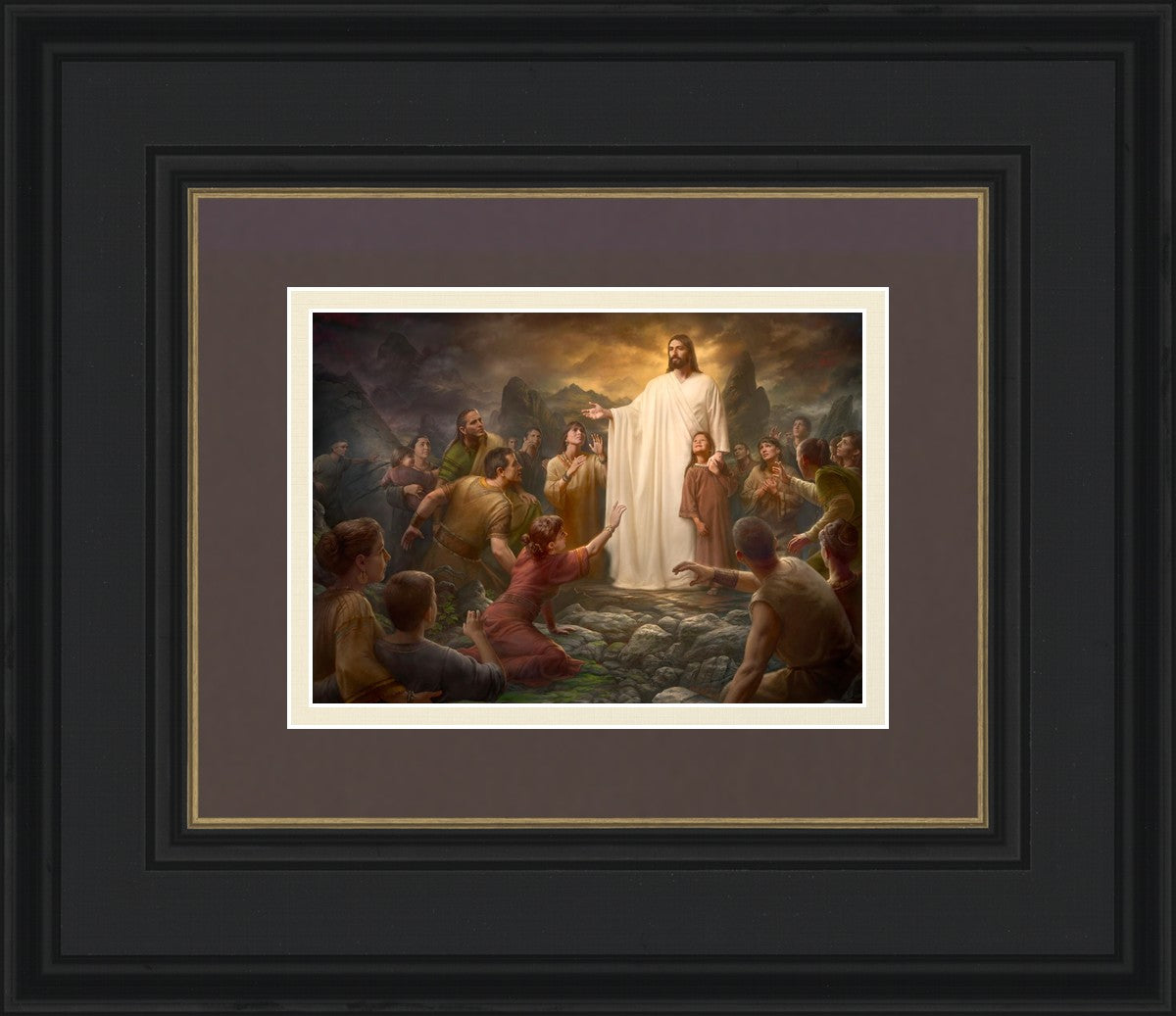 One Shepherd