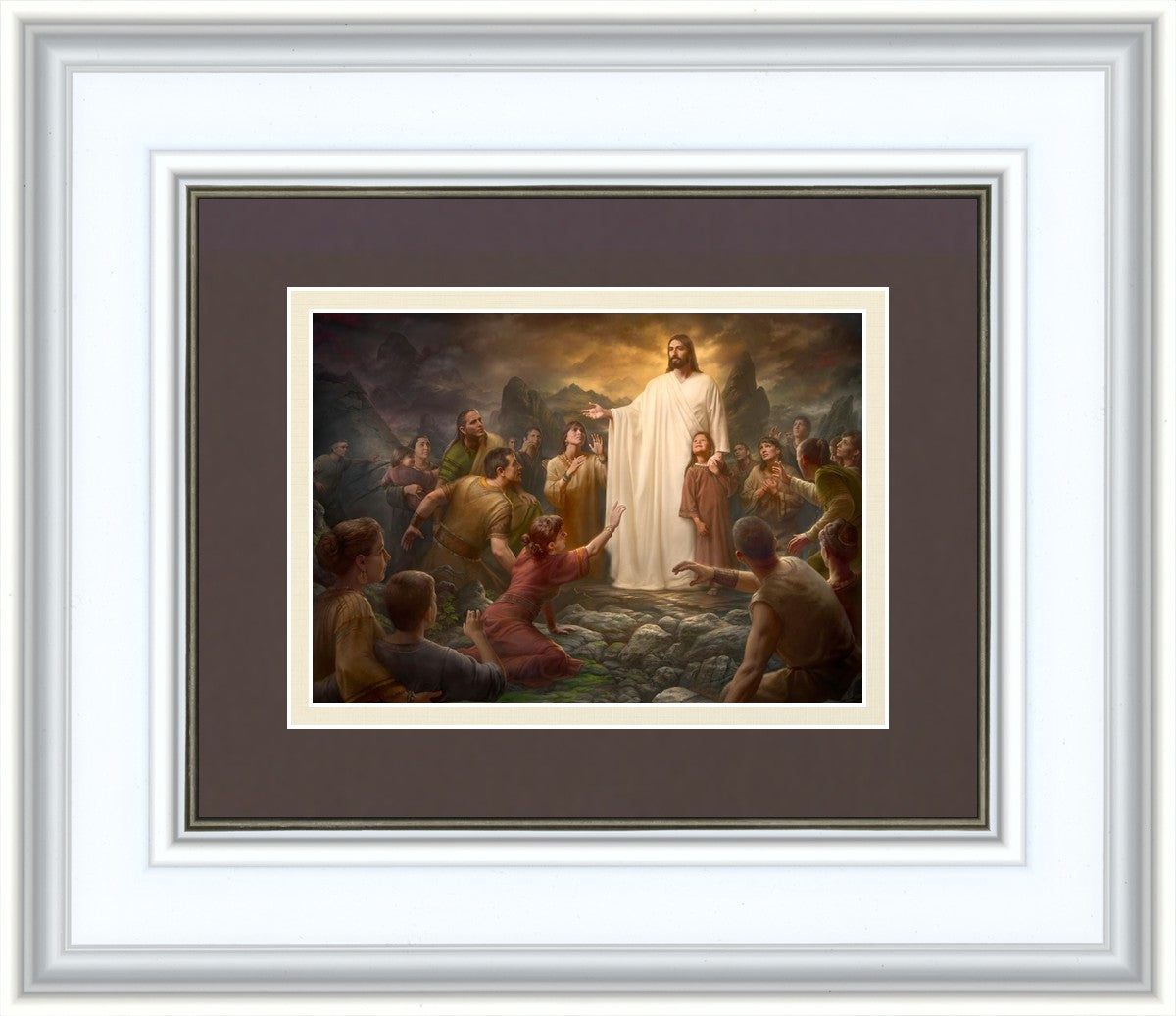 One Shepherd