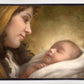 A Son is Given