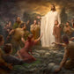 One Shepherd