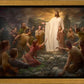 One Shepherd