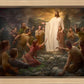 One Shepherd