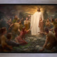 One Shepherd