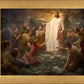 One Shepherd