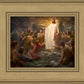 One Shepherd