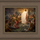 One Shepherd