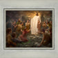 One Shepherd