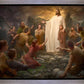 One Shepherd