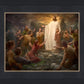 One Shepherd