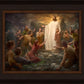 One Shepherd