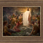 One Shepherd