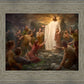 One Shepherd