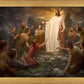 One Shepherd