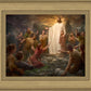 One Shepherd