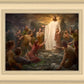 One Shepherd