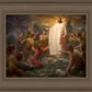 One Shepherd