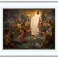 One Shepherd